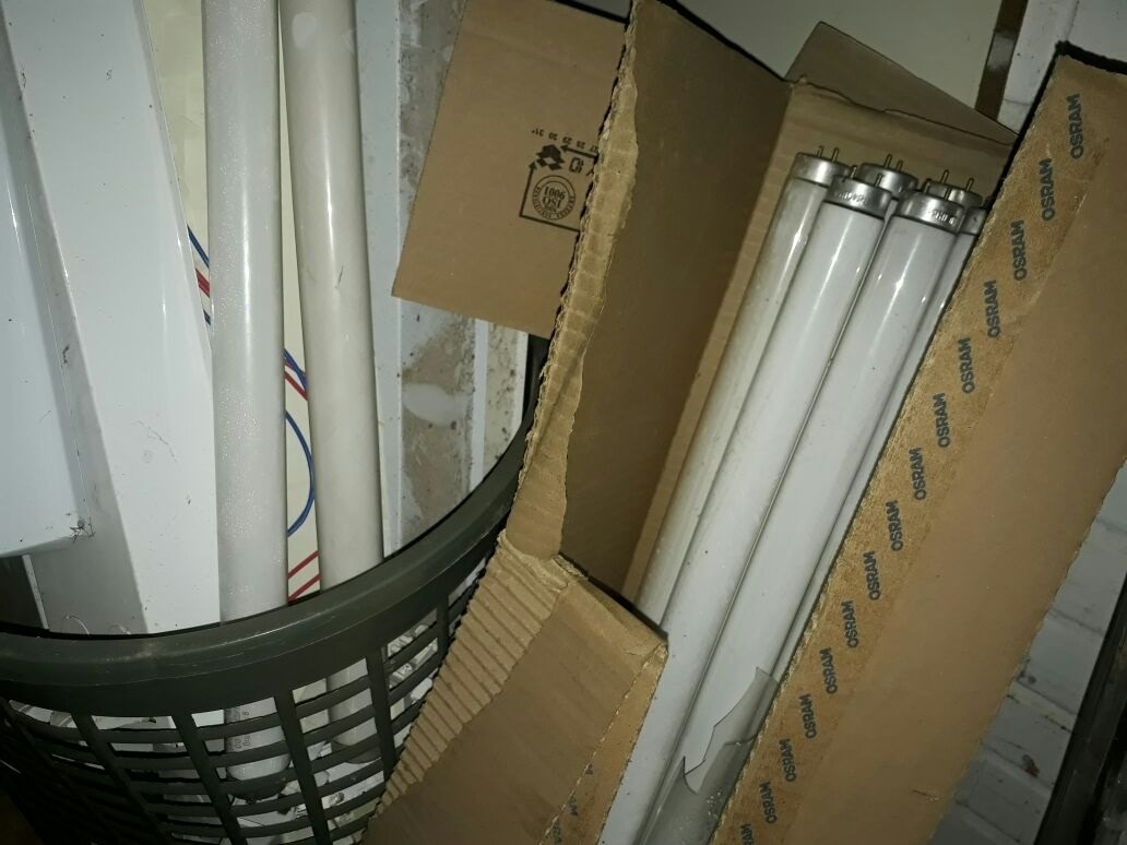 Lâmpadas usadas ficam amontoadas nas escolas do DF