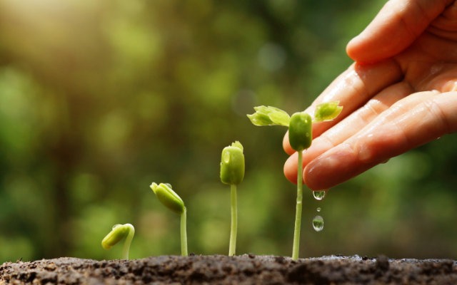 Comissão de Meio Ambiente da Câmara aprova mudanças na lei da reserva legal