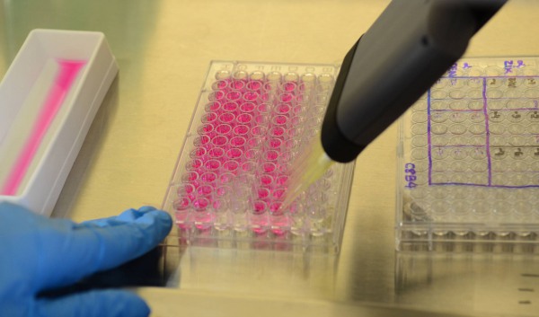 Investimentos em Ciência e Tecnologia sofrem corte de 70% em oito anos