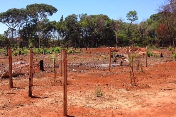 Nova secretaria DF Legal vai investir no crescimento ordenado