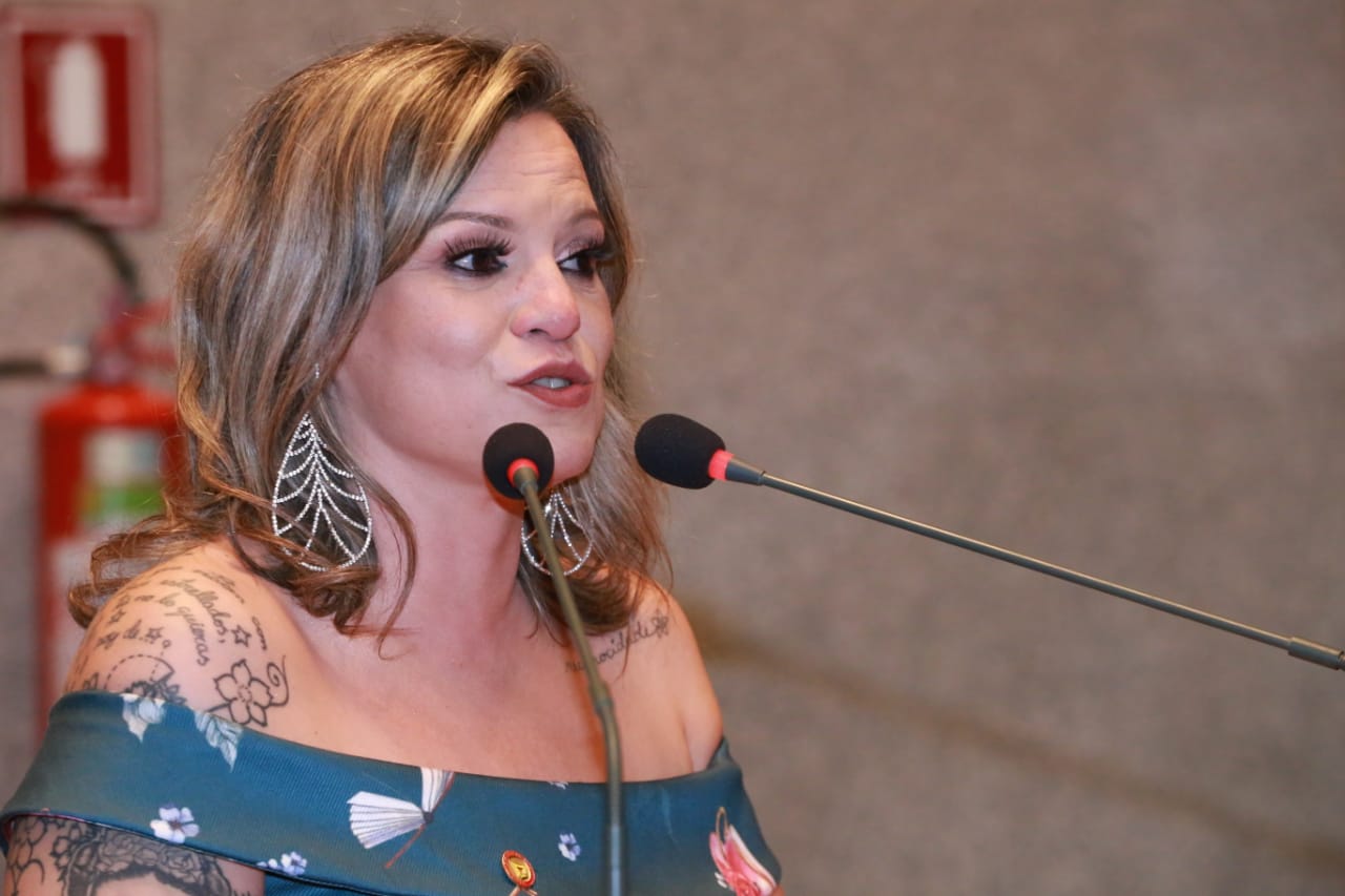 Câmara Legislativa concede título de cidadã honorária para a contadora de história Nyedja Gennari