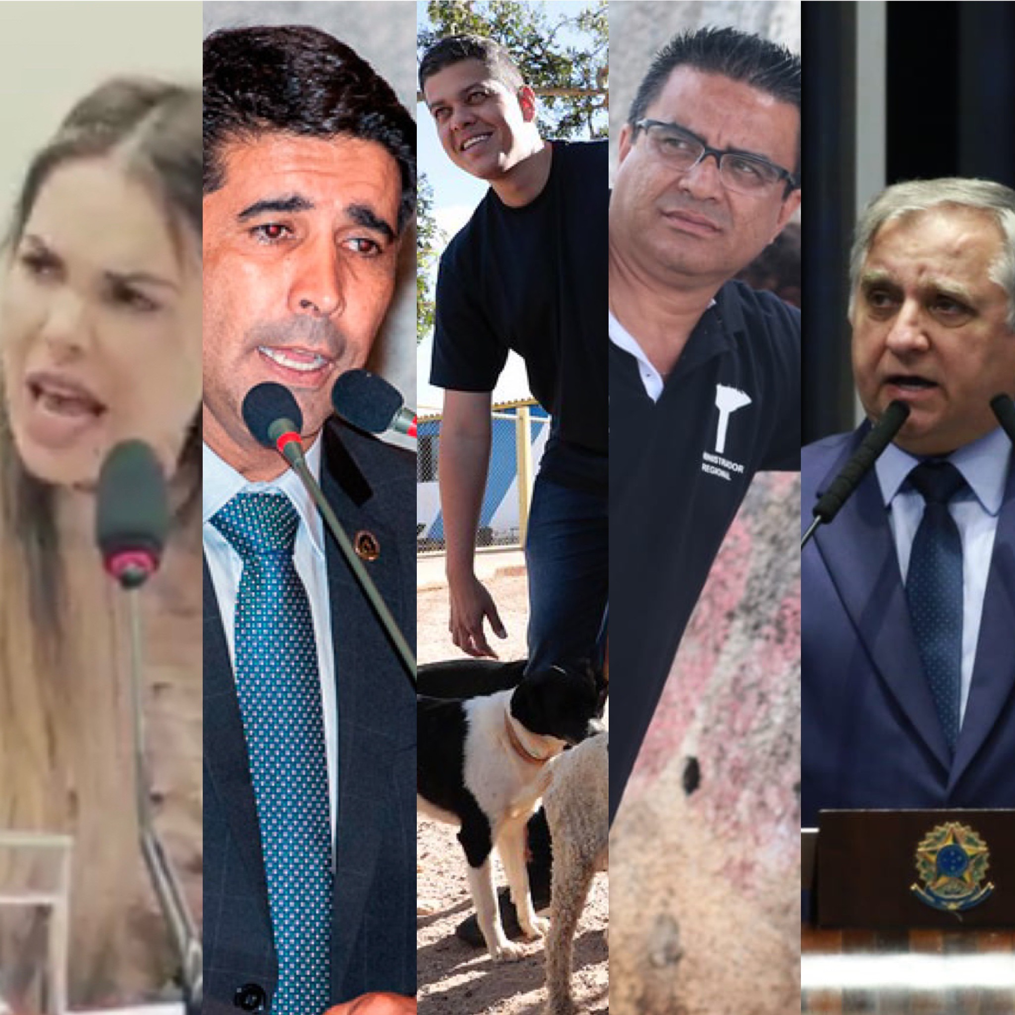 Os Bastidores da Política em Brasília