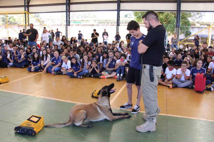 COMBATE ÀS DROGAS | Escolas públicas do DF participam da Semana de Prevenção ao Uso de Drogas