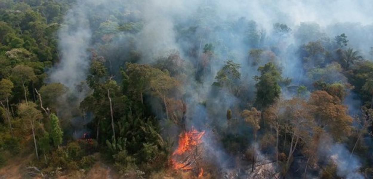 Número de focos de incêndios na Amazônia chegou a quase 31 mil em agosto