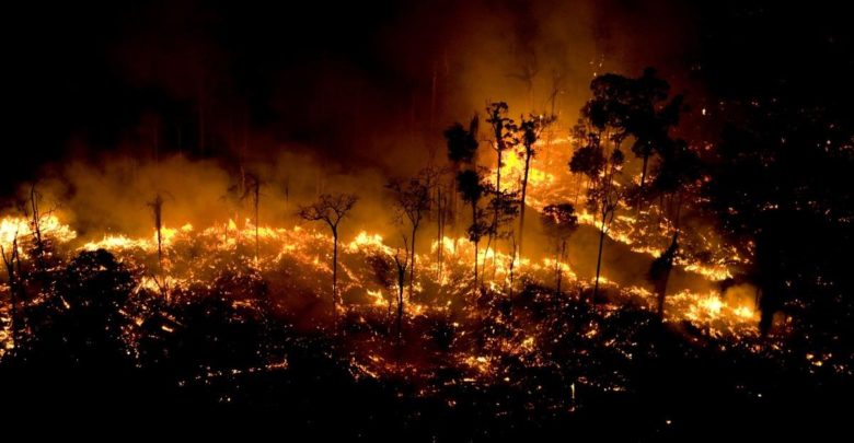 Governo do Pará aciona o governo federal para ajudar a combater incêndios no Estado