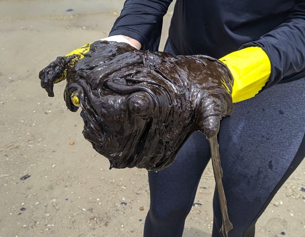 LITORAL BRASILEIRO | Mais de 600 toneladas de resíduos foram retiradas de praias nordestinas afetadas por óleo