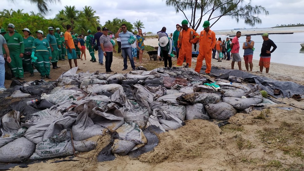 RISCOS À SAÚDE | Método utilizado para retirar óleo das praias difere de protocolo internacional