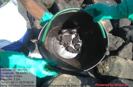POLUIÇÃO | Amostras de peixe apresentam níveis de contaminação por óleo
