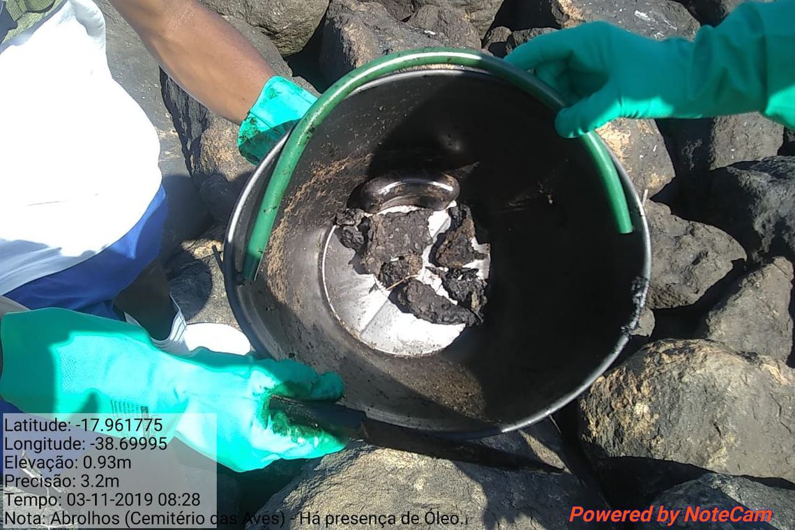 POLUIÇÃO | Amostras de peixe apresentam níveis de contaminação por óleo