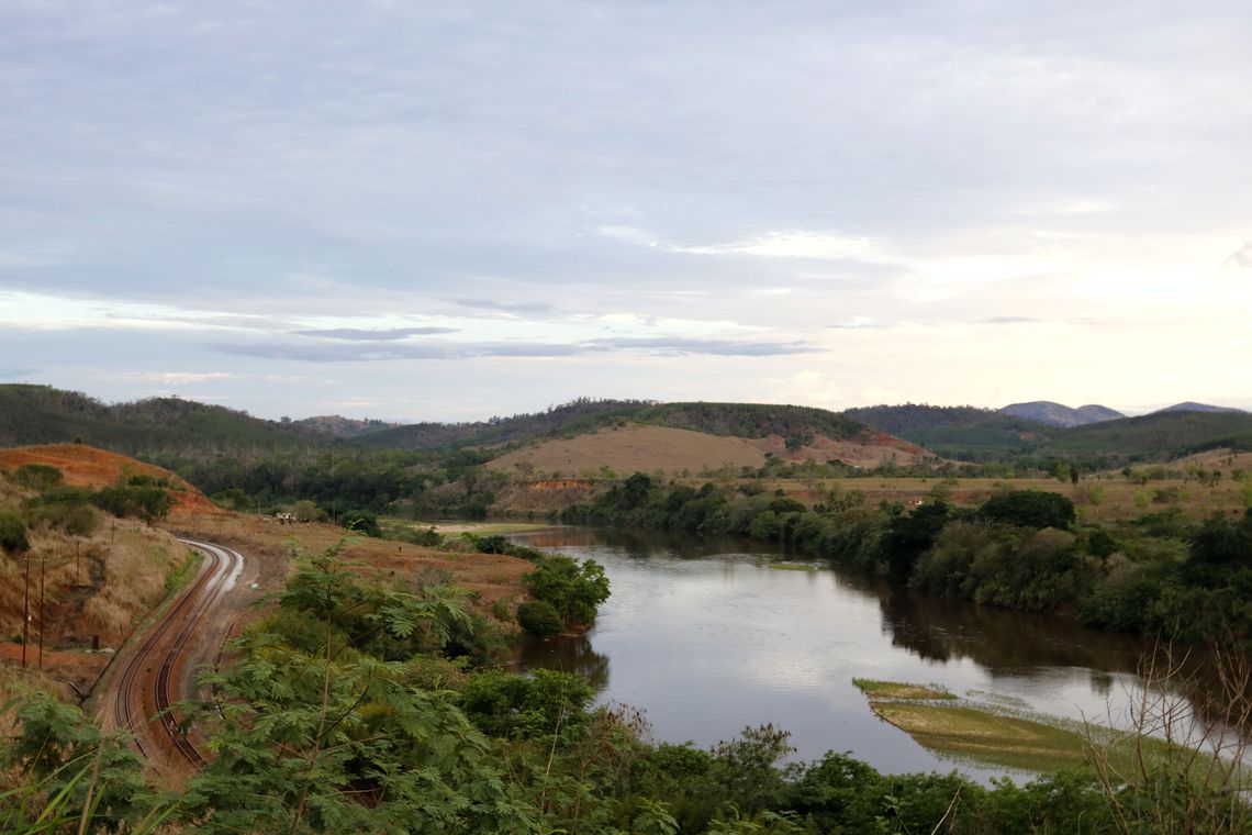 RECUPERANDO | Reflorestamento em Mariana usa mudas de pequenos agricultores