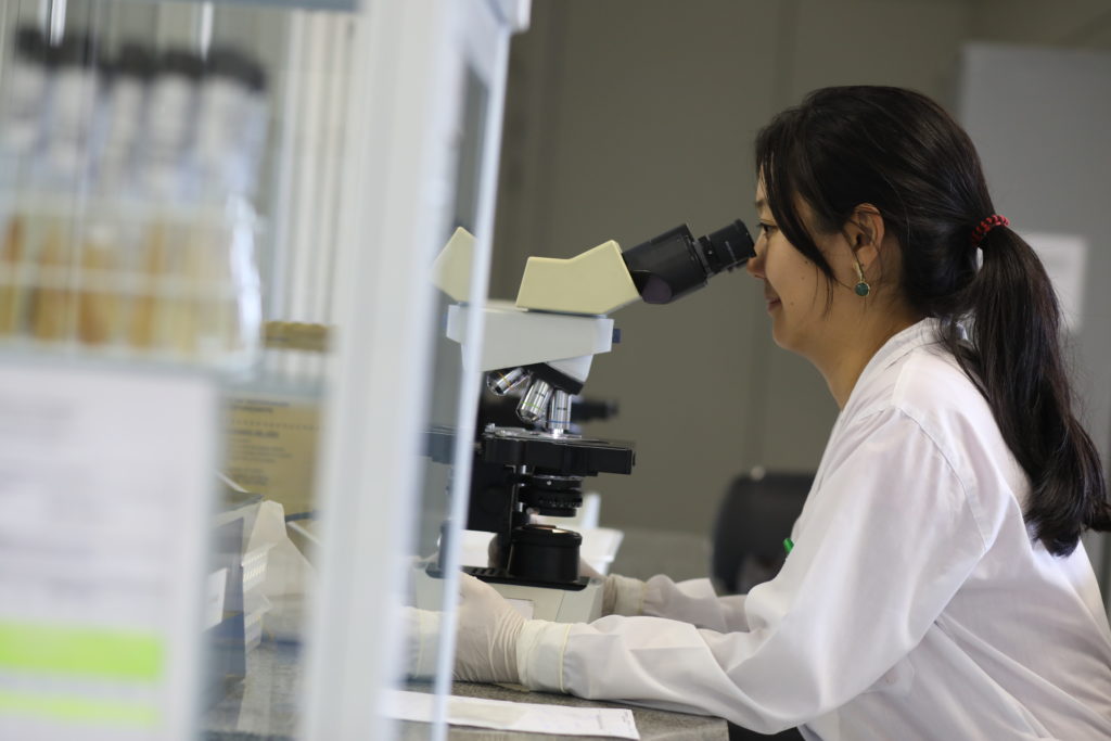 PESQUISA | Saúde investe para melhorar diagnóstico de tuberculose