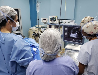 DEU TUDO CERTO | Hmib conclui cirurgia intrauterina com sucesso e salva gêmeas