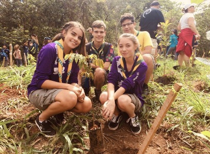 QUASE 4 MIL MUDAS | Parques do DF recebem mutirão de plantio de mudas nativas do Cerrado