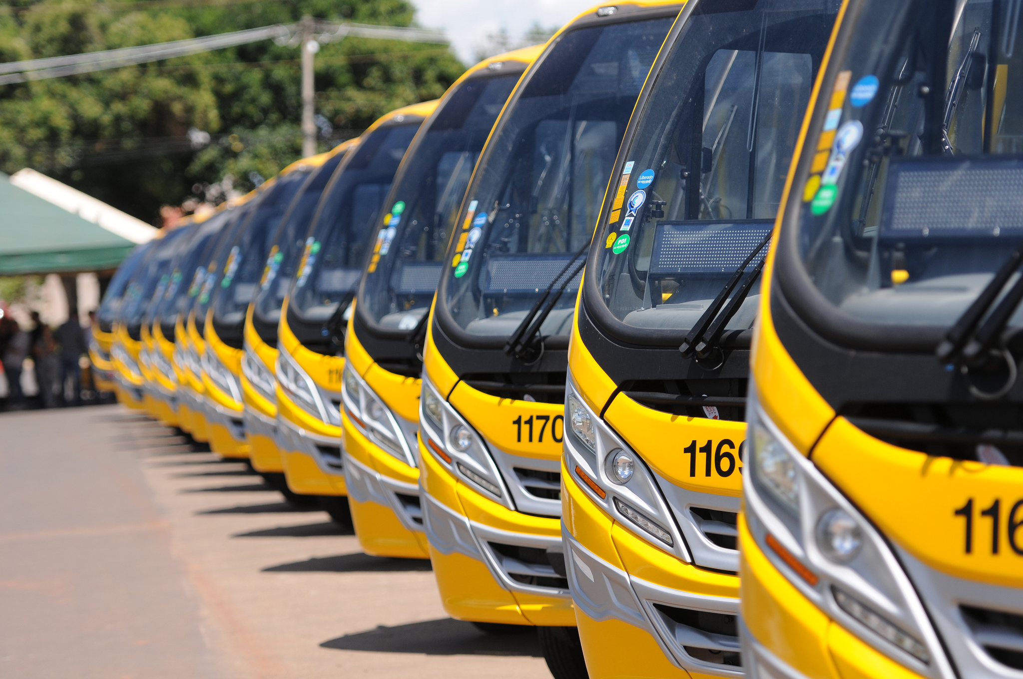 MOBILIDADE | DF terá aplicativo de transporte para miniônibus