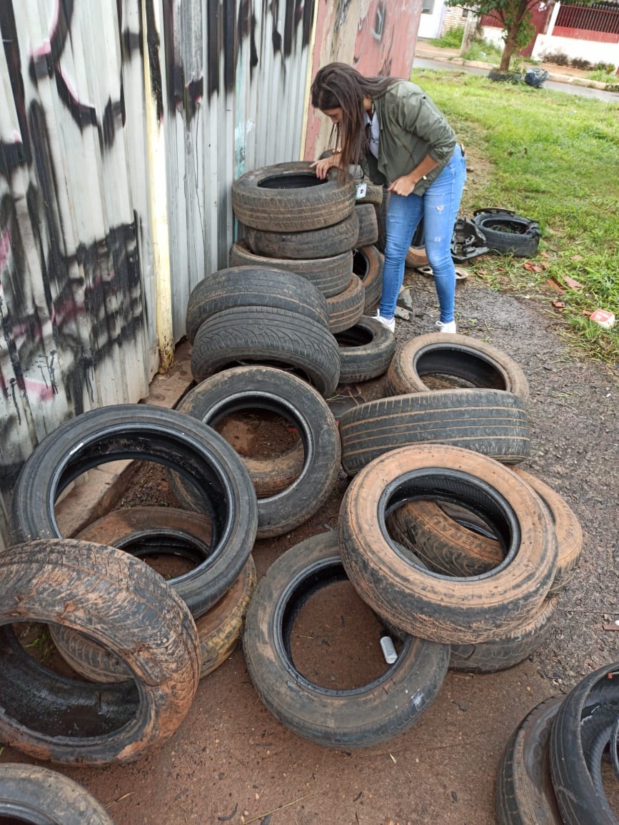 5 REGIÕES DO DF | GDF realiza primeiro Dia D de Combate à Dengue