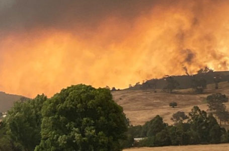DESEQUILÍBRIO | O impacto ambiental dos incêndios na Austrália pelo mundo