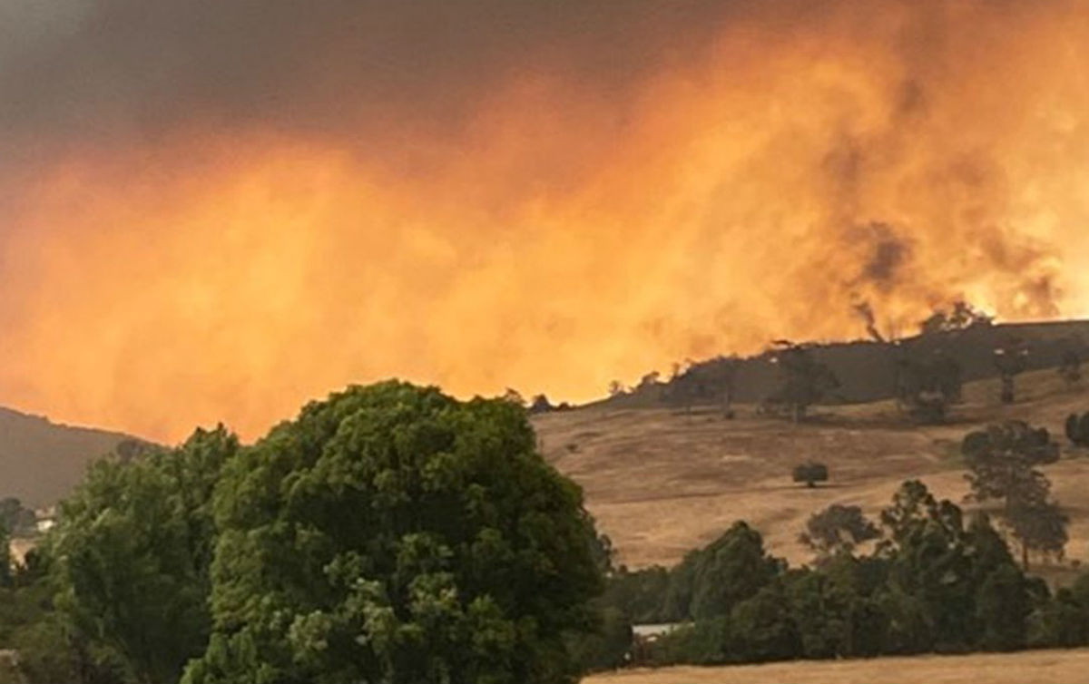 DESEQUILÍBRIO | O impacto ambiental dos incêndios na Austrália pelo mundo