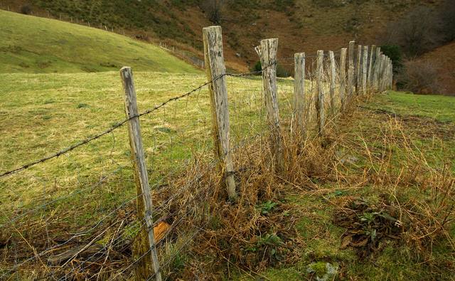 ATÉ 2023 | CLDF aprova prorrogação de prazo para regularização fundiária