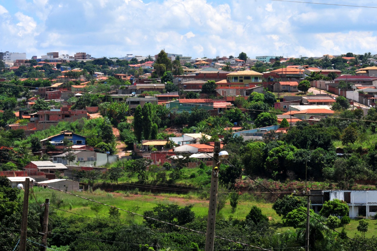 PLANO DE RECUPERAÇÃO | Arniqueira na luta contra a degradação ambiental