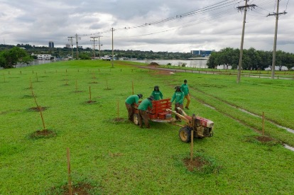 REVITALIZAÇÃO AMBIENTAL | Secretaria de Meio Ambiente recupera orla do Lago Paranoá e áreas de preservação