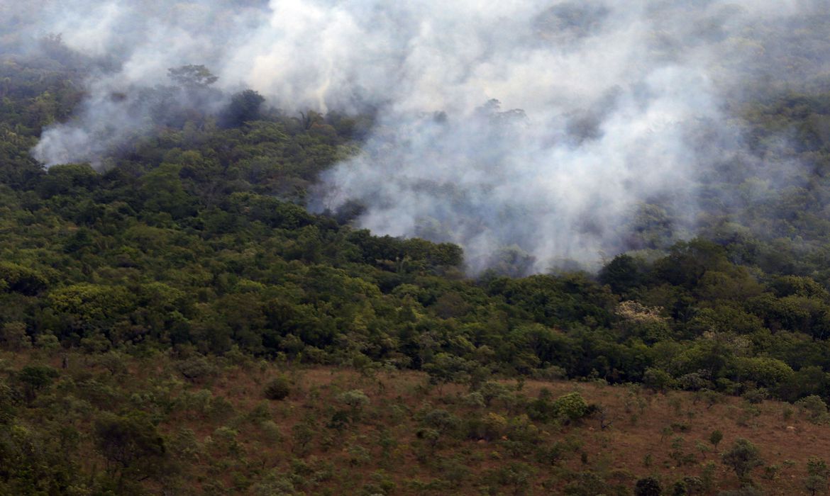 PROTEÇÃO AMBIENTAL | Governo Bolsonaro proíbe queimadas durante 120 dias