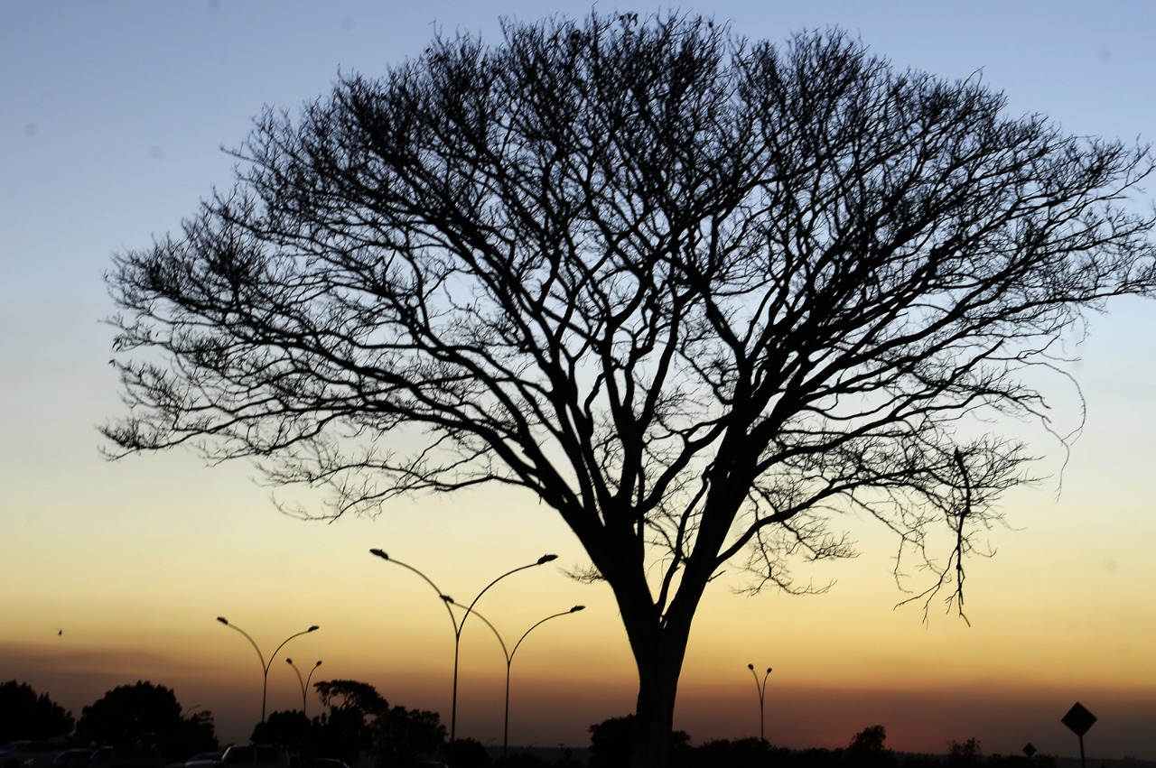 ATENÇÃO PARA O CLIMA | Umidade relativa do ar está caindo no DF