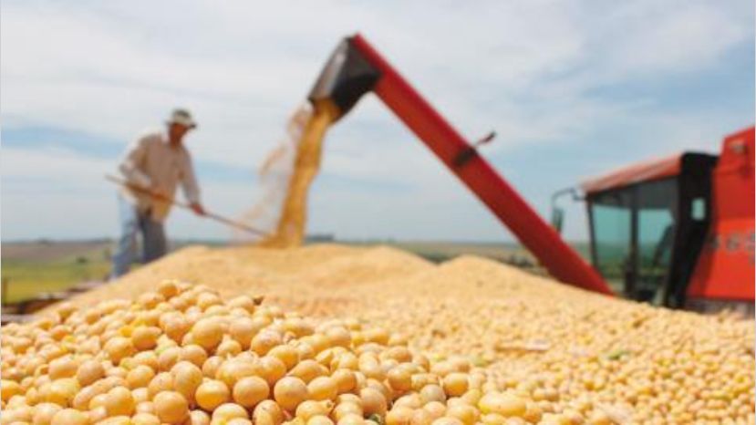 ESTUDO REVELA | Goiás é um dos estados brasileiros com potencial para vencer a crise até 2021