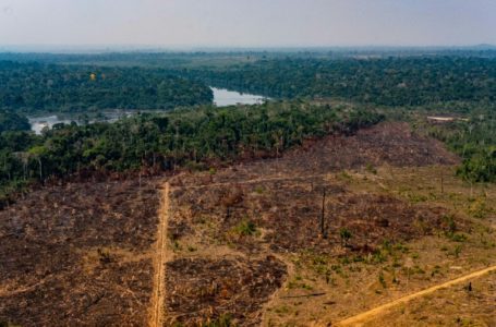 PROTEÇÃO AMBIENTAL | Países europeus fazem apelo ao Brasil para que tomem “ações reais” contra desmatamento da Amazônia