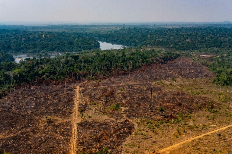 PROTEÇÃO AMBIENTAL | Países europeus fazem apelo ao Brasil para que tomem “ações reais” contra desmatamento da Amazônia