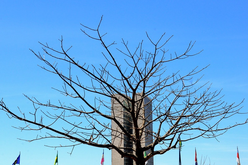 CLIMA SECO NO DF | Defesa Civil volta a emitir sinal de alerta para a baixa umidade e temperaturas elevadas
