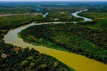 AÇÃO HUMANA | Perícia afirma que incêndio no Pantanal mato-grossense foi intencional