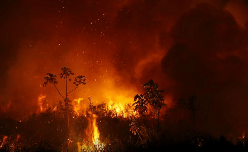 15 MIL FOCOS DE INCÊNDIO | Pantanal registra pior momento nos últimos dias