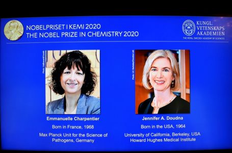 REVOLUCIONARAM A CIÊNCIA | Duas cientistas vencem Nobel de Química por pesquisa com genoma