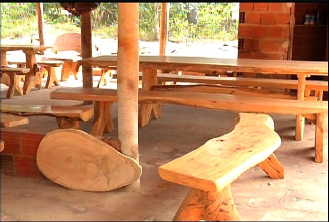 SUSTENTABILIDADE | Projeto de Lei de Rafael Prudente vai permitir que madeira da poda de árvores do DF seja destinada para artesãos