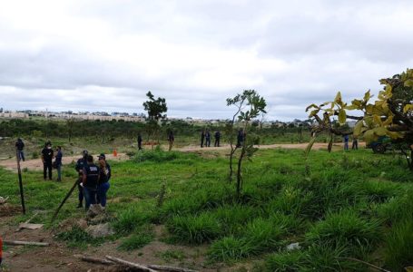 COMBATE À GRILAGEM | Fiscais do GDF desarticulam ocupação irregular no Parque Ecológico Riacho Fundo