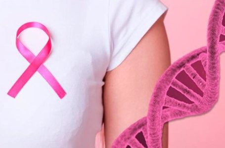 MAPEAMENTO GENÉTICO | Projeto de Rafael Prudente que obriga hospitais do DF a realizar o teste em mulheres com risco de câncer de mama é sancionado