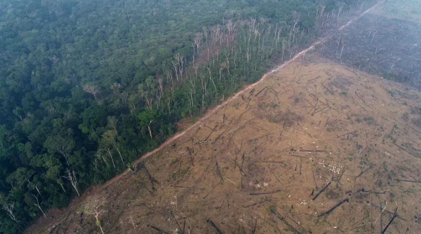 REDUÇÃO DOS INVESTIMENTOS | Governo quer cortar orçamento para proteção ambiental em 2021