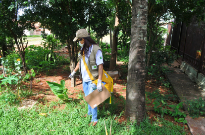 COMBATE AO MOSQUITO | GDF anuncia ações de enfrentamento à dengue, zika e chikungunya