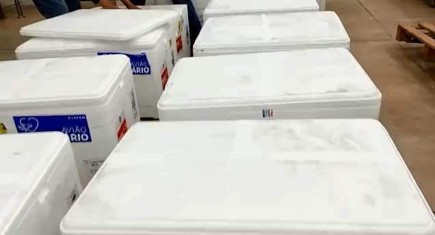 MAIS UMA REMESSA | Governo de Goiás recebe mais de 134 mil doses da vacina Coronavac
