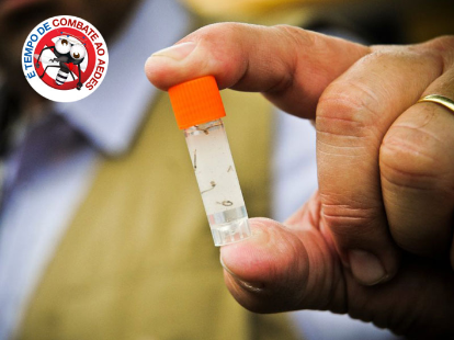 RECONHECIMENTO INTERNACIONAL | Estudantes do Gama ganham prêmio com projeto de combate à dengue