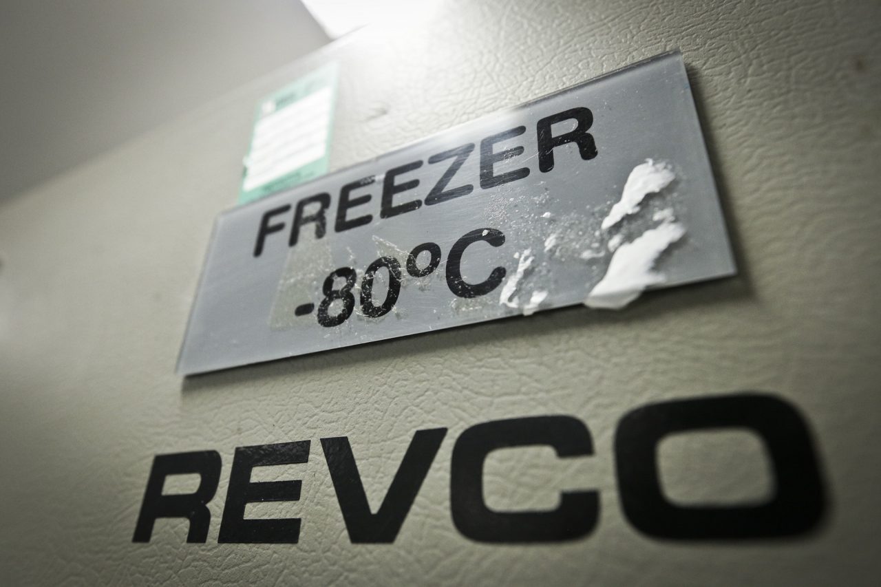 NOVO IMUNIZANTE | Secretaria de Saúde do DF está preparada para receber vacina da Pfizer/BioNTech