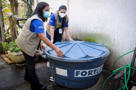 DE JANEIRO A ABRIL | DF não registra morte por dengue