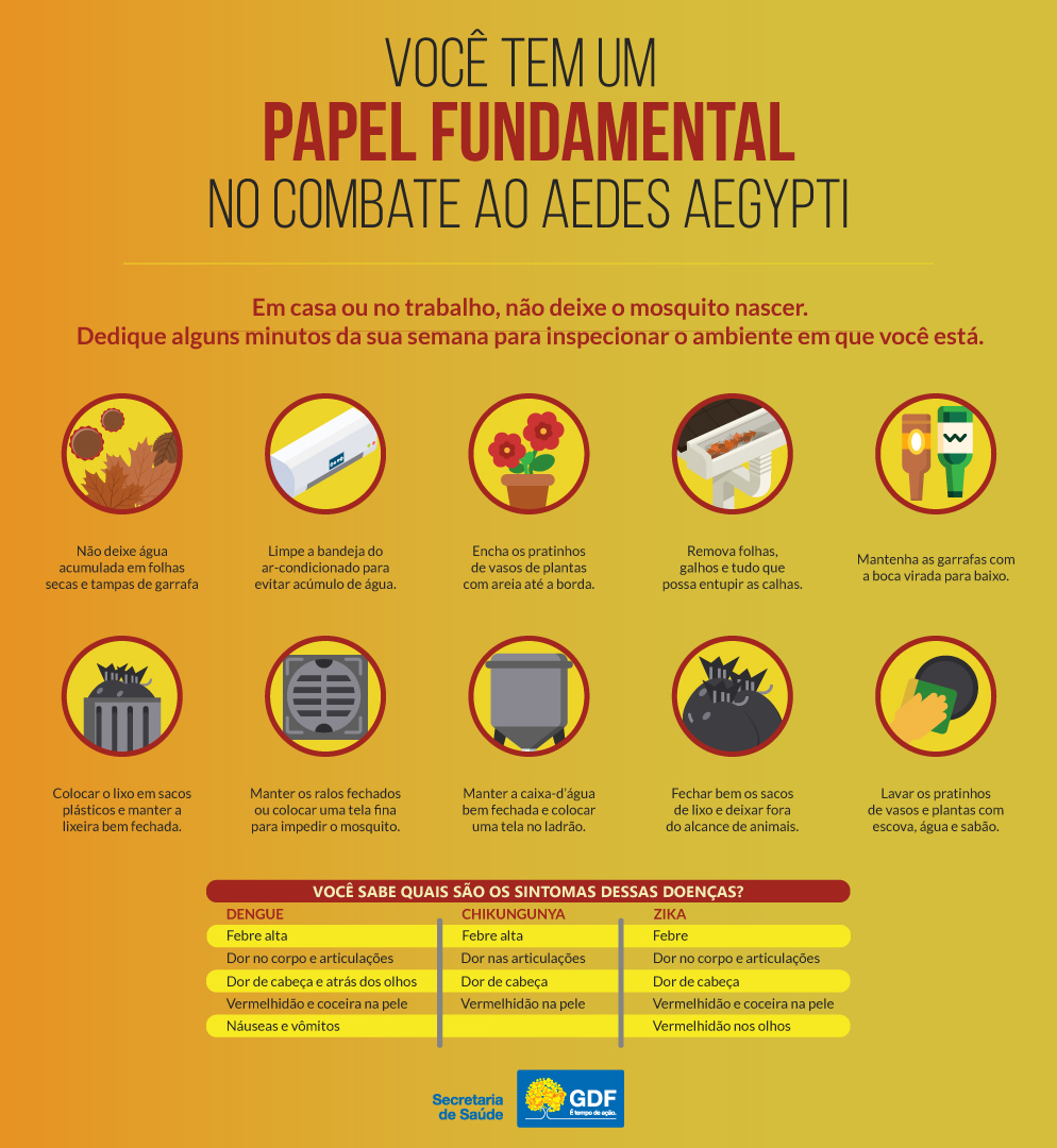 COMBATE AO MOSQUITO | Casos de Dengue continuam em queda no DF