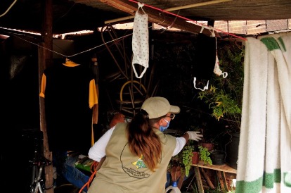 76,2% A MENOS | DF registra quedas consecutivas nos casos de dengue