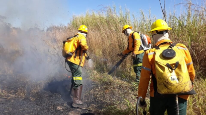 COMBATE AOS INCÊNDIOS | GDF divulga resultado de processo seletivo para contratar 150 brigadistas