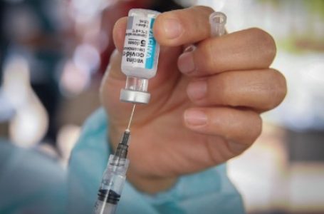 1ª DOSE OU DOSE ÚNICA | Quase 60% da população adulta recebeu a vacina contra a Covid no DF