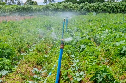CONAM-DF | Conselho cria grupos para debater reúso da água para atividades agrícolas e gestão de unidades de conservação do DF