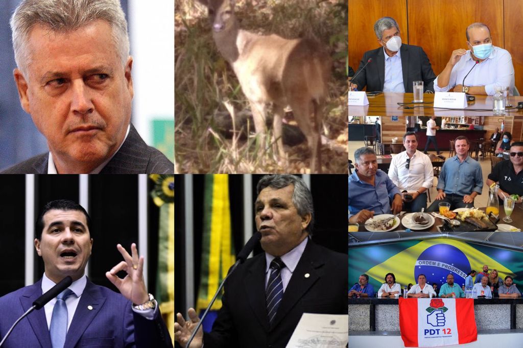 O FINO DA POLÍTICA | Veado consola Rollemberg