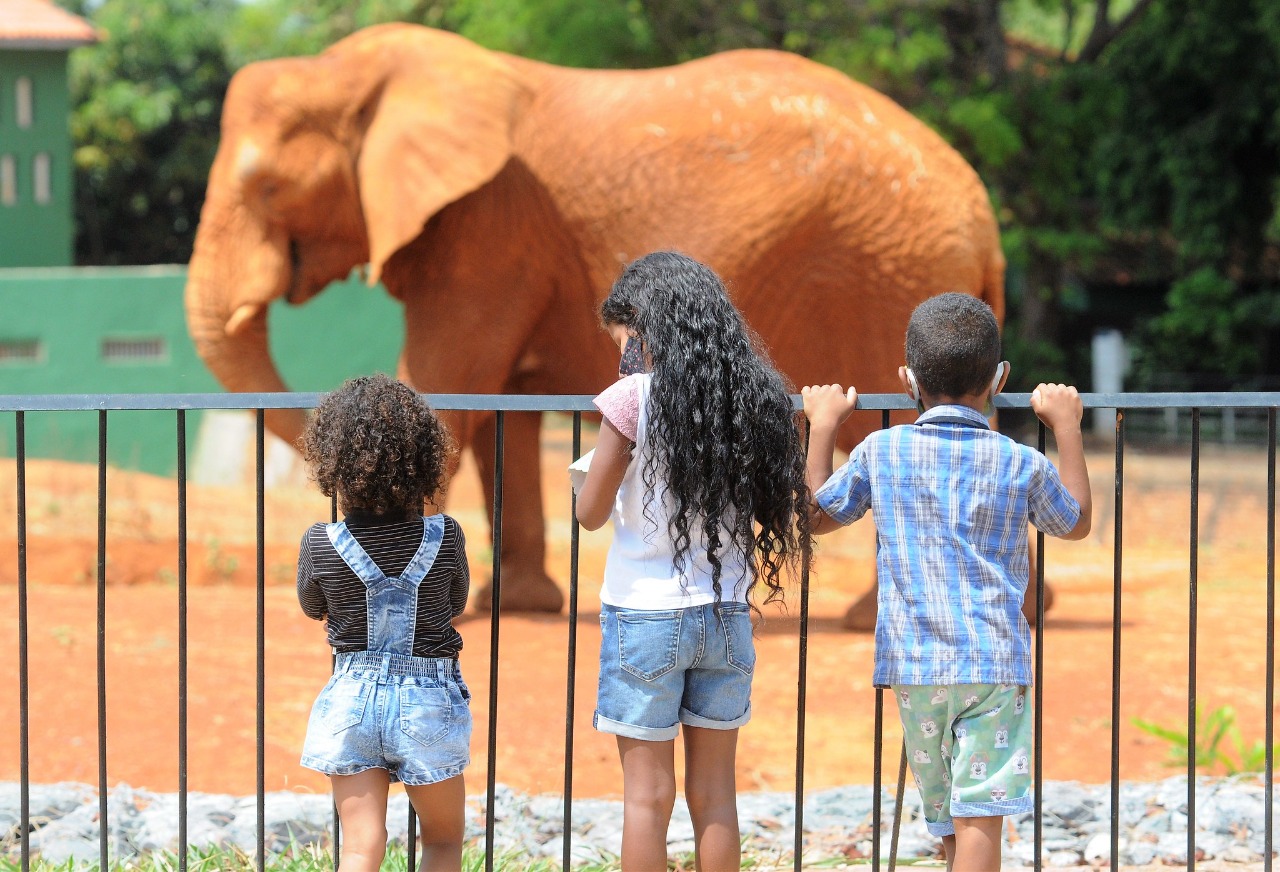 FERIADÃO DA REPÚBLICA | Veja aqui o que abre e fecha na próxima segunda (15)