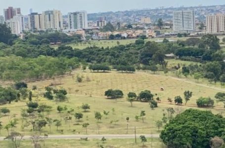 PARA PROTEGER CÓRREGO | Mil mudas de espécies do Cerrado serão plantadas neste domingo (28) em Águas Claras